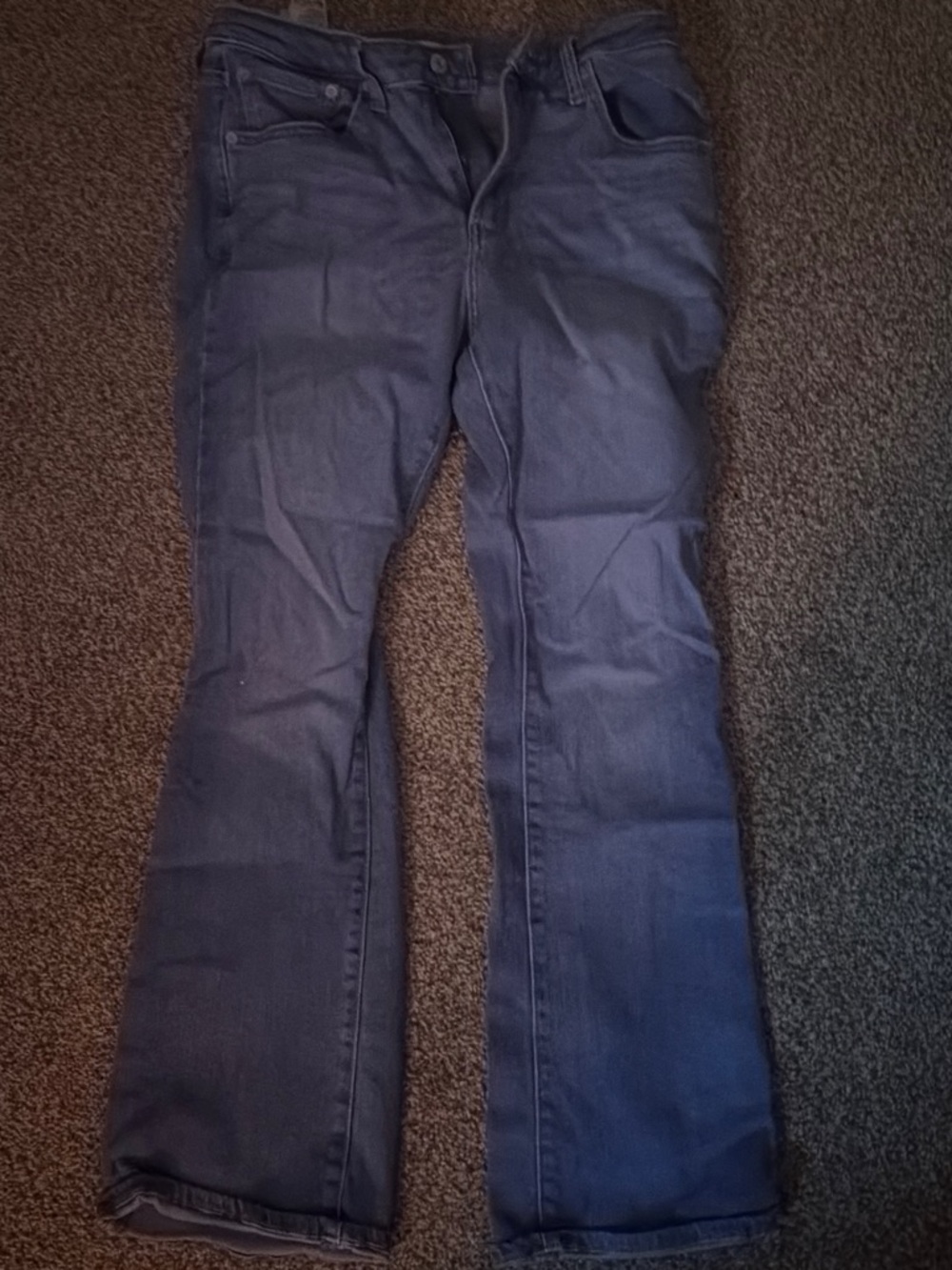 Signature by Levi Strauss Navy Flare Jeans